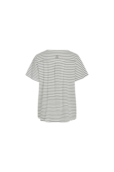 CCDK 