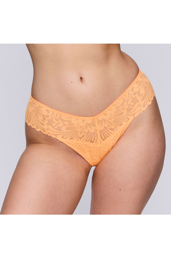 Twist by Prima Donna
