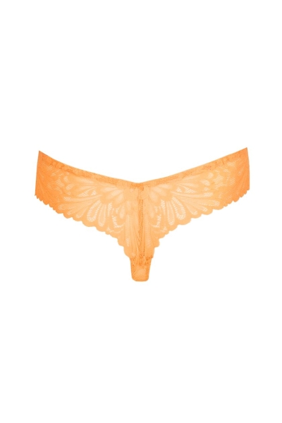Twist by Prima Donna