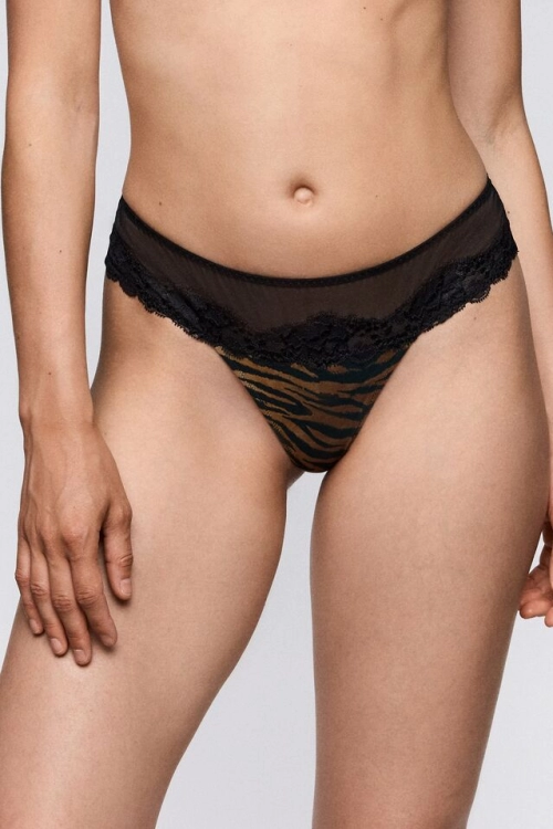 Sarda Sarda bremer string