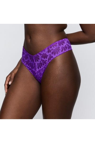 Twist by Prima Donna