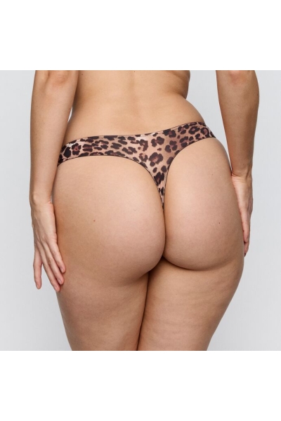 Twist by Prima Donna